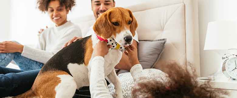 Radiant heating systems are healthier heating systems then forced air systems because they do not move dust, allergins and pollutents through your home via ductwork.